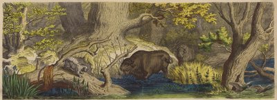 Foresta in Lituania da German School