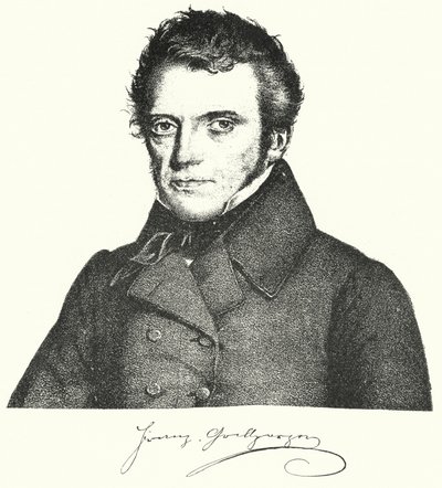 Franz Grillparzer, drammaturgo e poeta austriaco (incisione) da German School