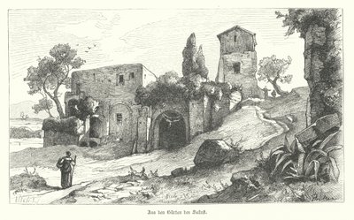 Giardini di Sallustio, Roma da German School