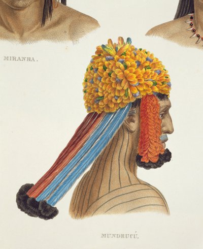 Testa di un uomo della tribù Mundrucu, da Viaggi in Brasile (dettaglio) da German School