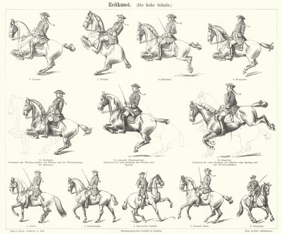 Equitazione (incisione) da German School