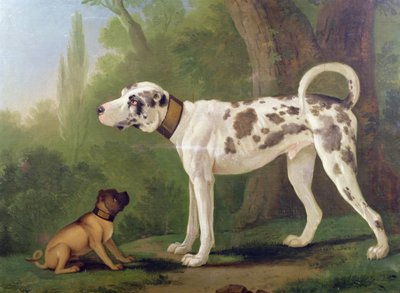 Segugio e terrier da German School