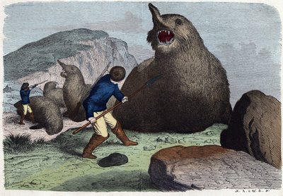 Cacciatori che combattono elefanti marini. In “Wenn Jemand eine Reise thut, so kann er was erzahlen” (Quando qualcuno viaggia, questo è ciò che può raccontare), racconto tedesco di Franz Wiedemann. da German School