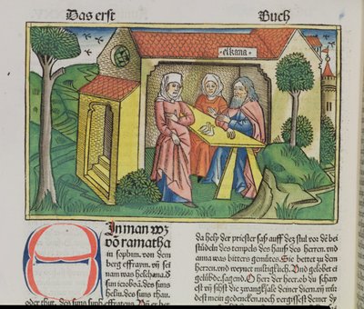 I Samuele 1:8 Elkanah conforta Anna, dalla Bibbia di Norimberga (Biblia Sacra Germanaica) da German School