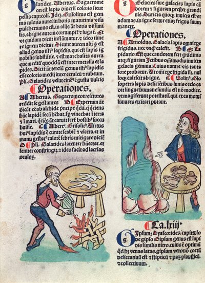 Pagina illustrata da Hortus Sanitatis, 1491 da German School
