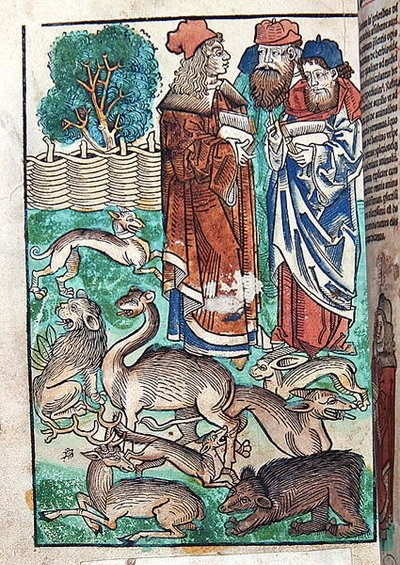 Illustrazione da Hortus Sanitatis da German School