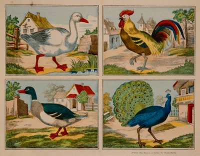 Illustrazione che mostra un