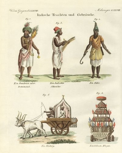 Abiti indiani da German School