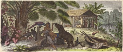 Casa indiana sul fiume Orinoco da German School