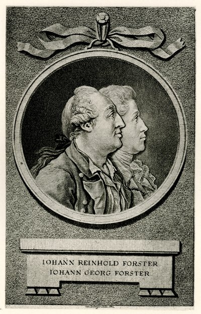 Johann Georg Forster da German School