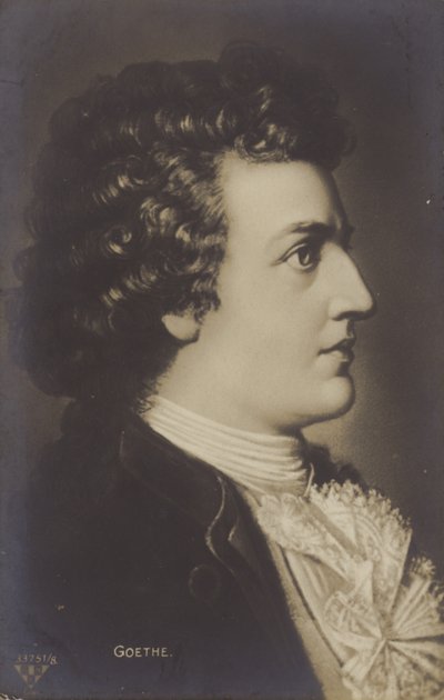 Johann Wolfgang von Goethe (1749-1832), poeta, romanziere e drammaturgo tedesco (litografia) da German School
