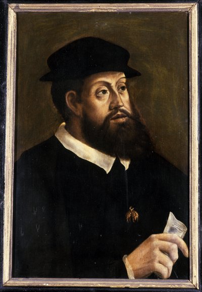 Re Carlo V da German School