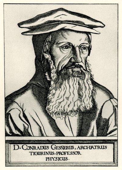 Conrad Gesner da German School