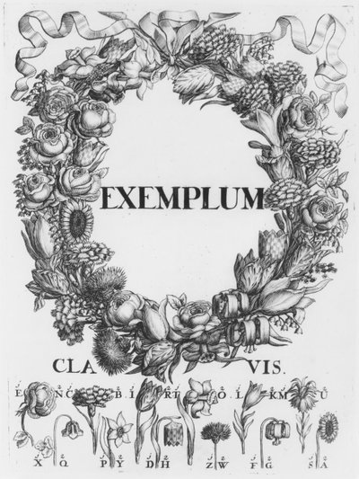Linguaggio dei fiori, illustrazione da Cryptographia, oder geheime Schrifften di Johann Balthasar Friderici, pubblicata ad Amburgo, 1685 da German School