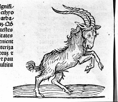 Il Capricorno - in Trattato di Johannes Angeli De Magnisconnectionibue annorum revolutionibus ac eorum pefectionibus. Augusta, Erhard Ratdolt da German School