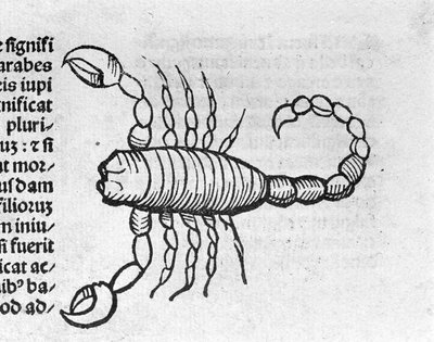 Lo Scorpione - nel Trattato di Johannes Angeli De Magnisconnectionibue annorum revolutionibus ac eorum perfectionibus. Augusta, Erhard Ratdolt da German School