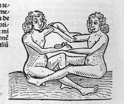 Les Gemini - in 