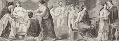Vita nell