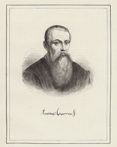 Lucas Cranach da German School