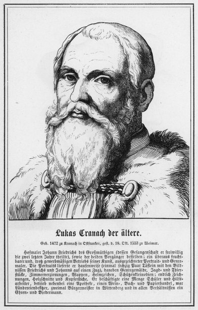 Lukas Cranach il Vecchio (incisione) da German School