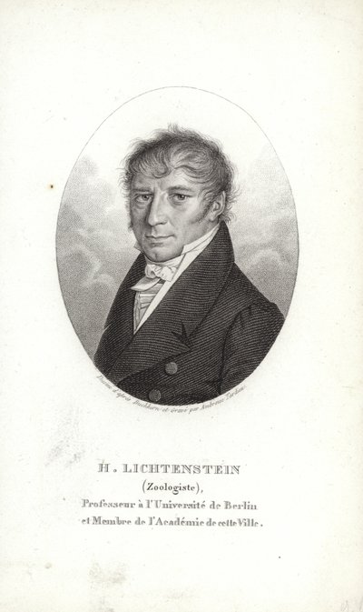 Martin Lichtenstein da German School