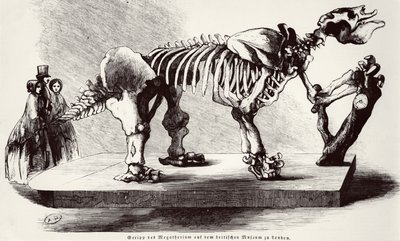 Scheletro di Megatherium al British Museum da German School