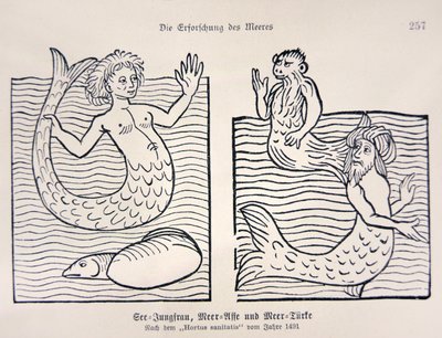 Sirena e tritone dal 
