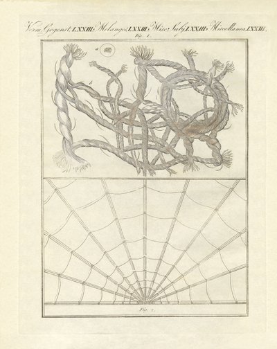 Oggetti microscopici da German School