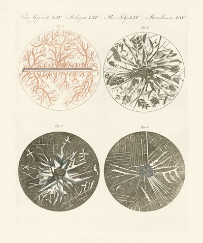 Vista microscopica della cristallizzazione del metallo da German School