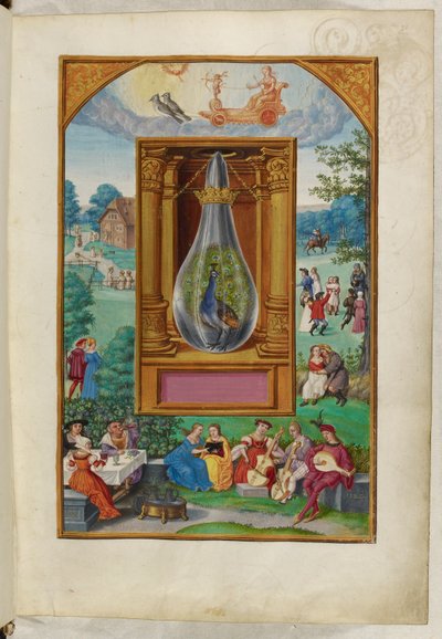 Ms Harley 3469, f.28 La Coda del Pavone, il Quarto Trattato, da 