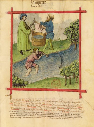 Ms Lat 9333 f.82 Pesca di anguille, da Tacuinum Sanitatis da German School