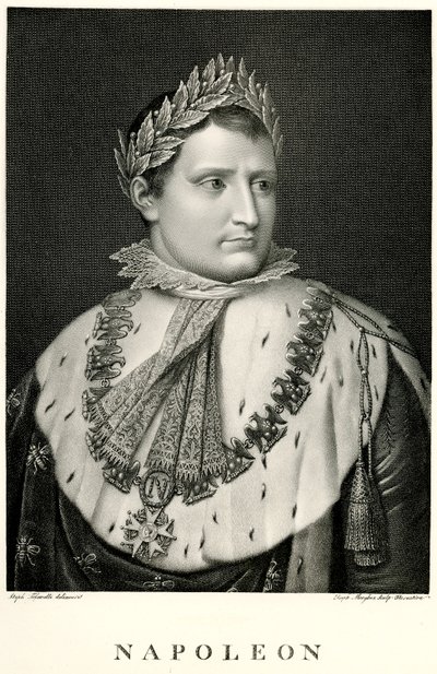 Napoleone I da German School