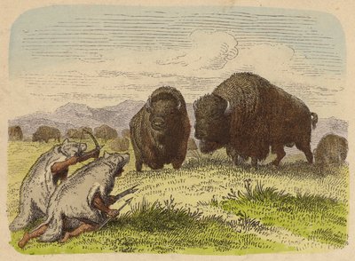 Nativi americani che indossano pelli di lupo cacciando bufali (incisione colorata) da German School