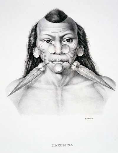 Uomo nativo della tribù Maxuruna, con decorazione facciale, da Atlas of a Journey in Brazil di Dr von Spix e Dr von Martius da German School