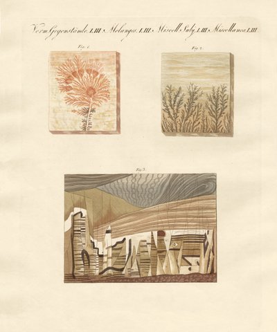Giochi naturali da German School