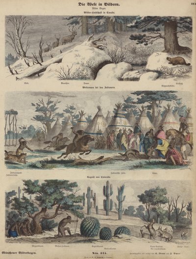 Nord America: paesaggio invernale in Canada; Nativi Americani in gara; Colorado da German School
