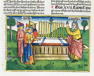 Numeri 17:1-11 Il bastone di Aronne fiorisce sull