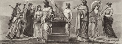 Occupazioni nell