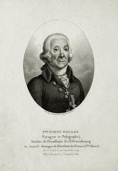 Peter Simon Pallas (1741 – 1811) da German School