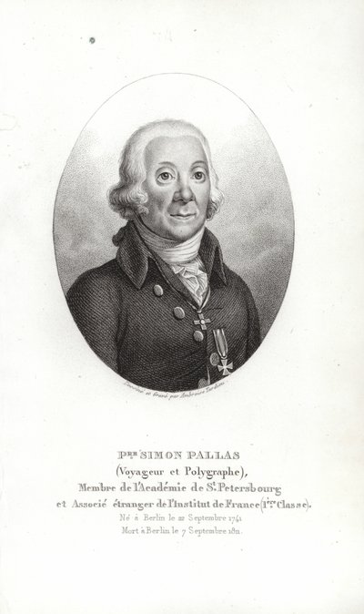 Peter Simon Pallas da German School