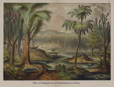 Piante e animali del periodo carbonifero in Europa da German School