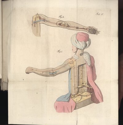 Tavola V da Uber den Schachspieler des Herrn von Kempelen und dessen Nachbildung, pubblicato da Joseph Friedrich Freiherr von Racknitz, Lipsia e Dresda: Joh. Gottl. Breitkopf, 1789 da German School
