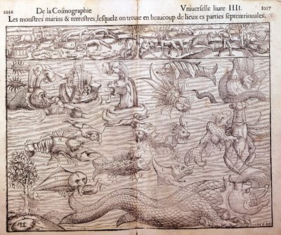 Tavola che rappresenta tutti i tipi di mostri marini e terrestri trovati nelle regioni settentrionali: Xilografia tratta dalla Cosmografia Universale di Sebastien Munster. Basilea da German School