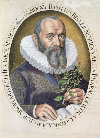 Ritratto di Basil Besler (1561-1629) nel 1612, dall