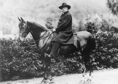 Principe Bismarck a Friedrichsruh, 1890 da German School