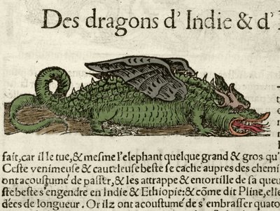 Rappresentazione di un drago dell