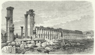 Rovine della città di Palmira, Siria (incisione) da German School