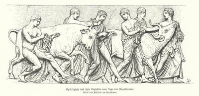 Animali sacrificali nella processione dell