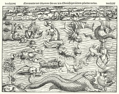 Creature marine da German School
