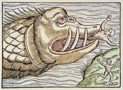Mostro marino che consuma una vittima umana da German School
